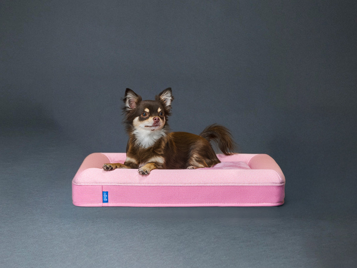 guguドギー 犬用ベッド