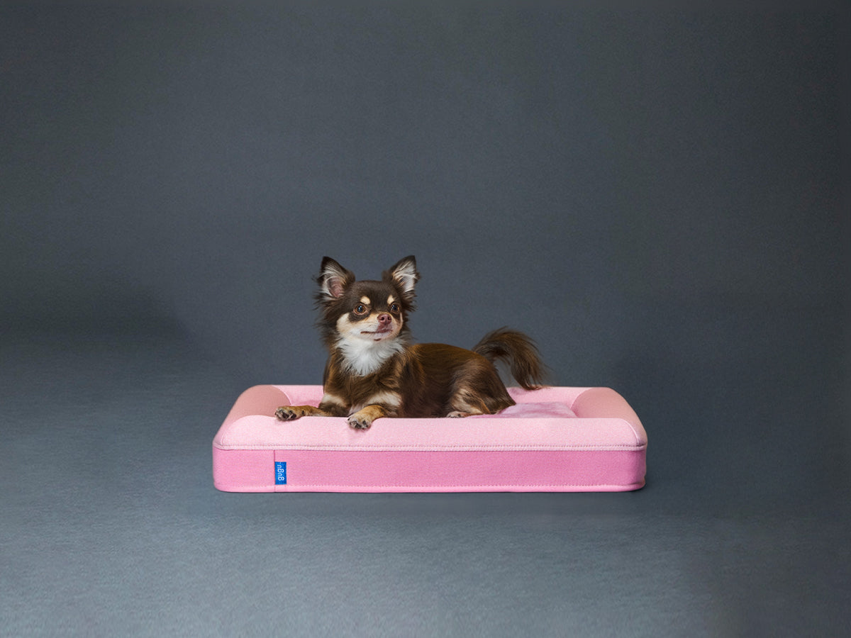 guguドギー 犬用ベッド