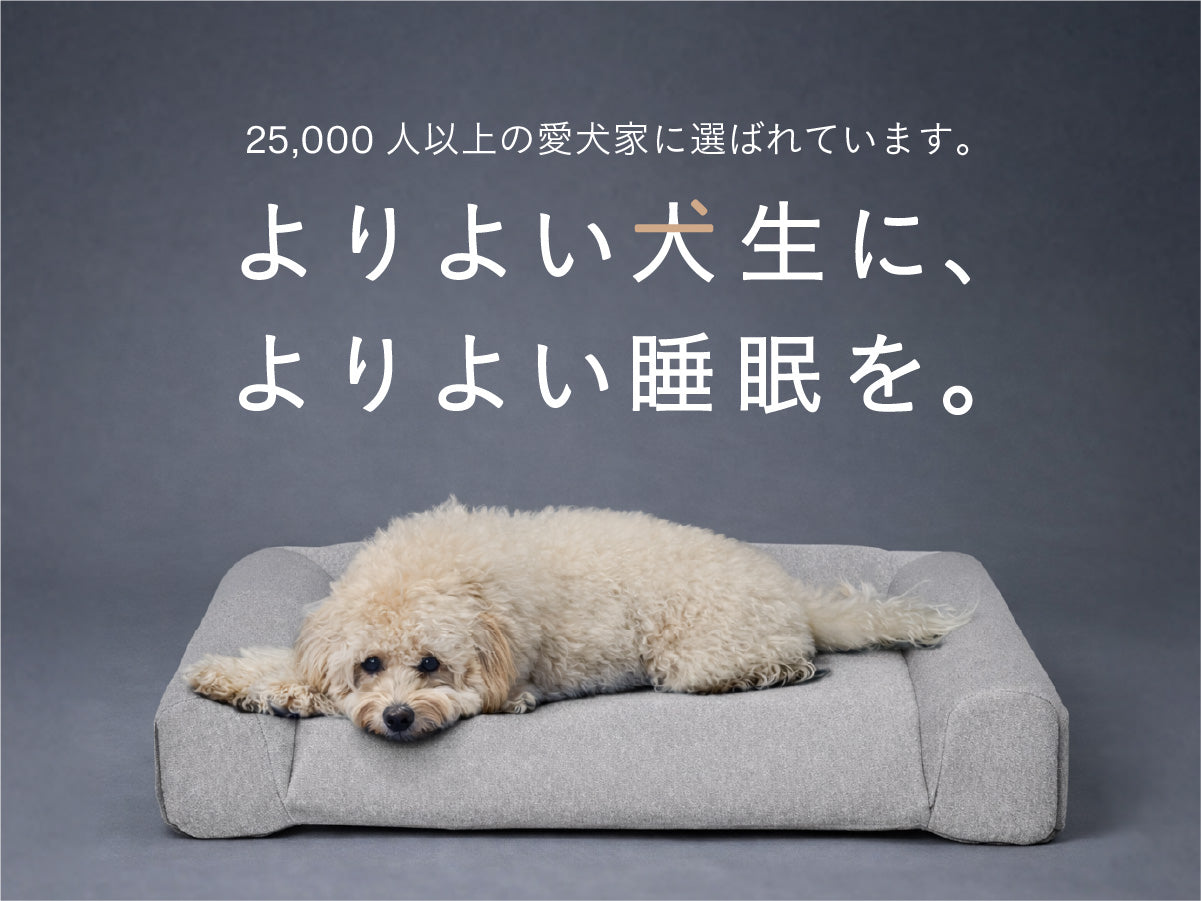 グーグースリープ【公式】｜guguドギー シニア