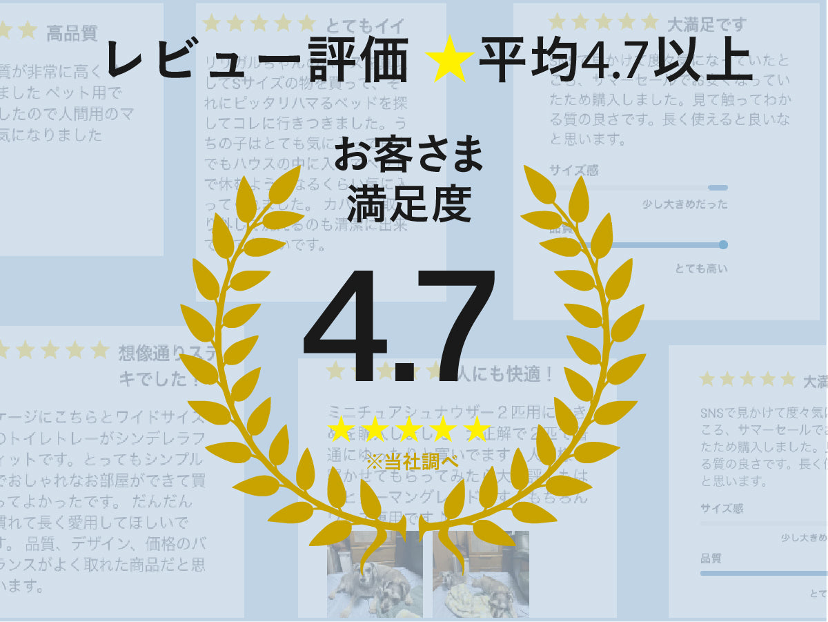 guguドギー シニア