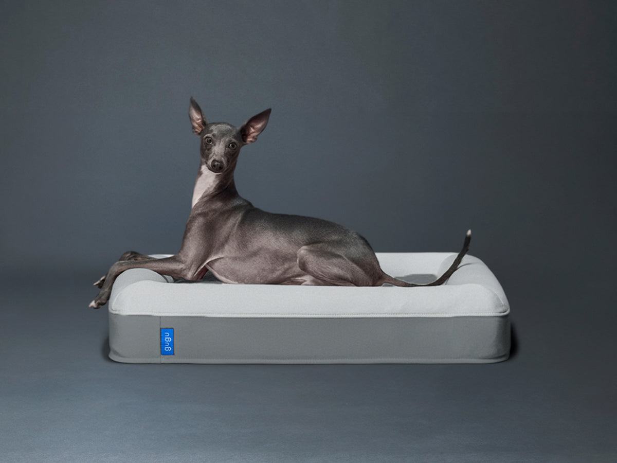 guguドギー 犬用ベッド