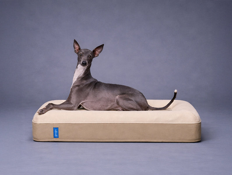 グーグースリープ【公式】｜犬用ベッド｜超小型犬・小型犬・中型犬