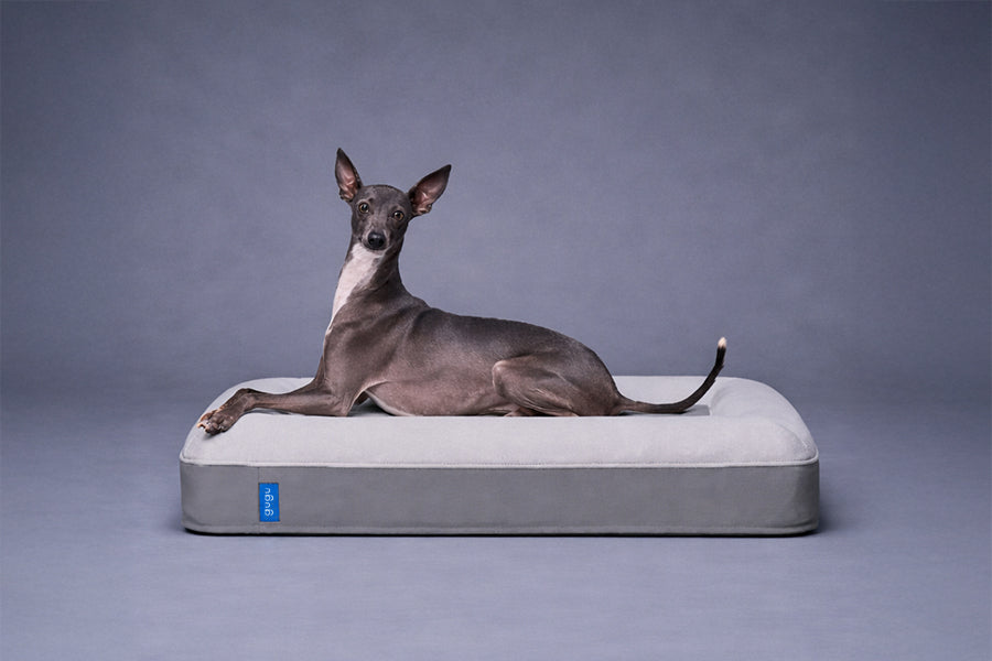 guguドギー 犬用ベッド