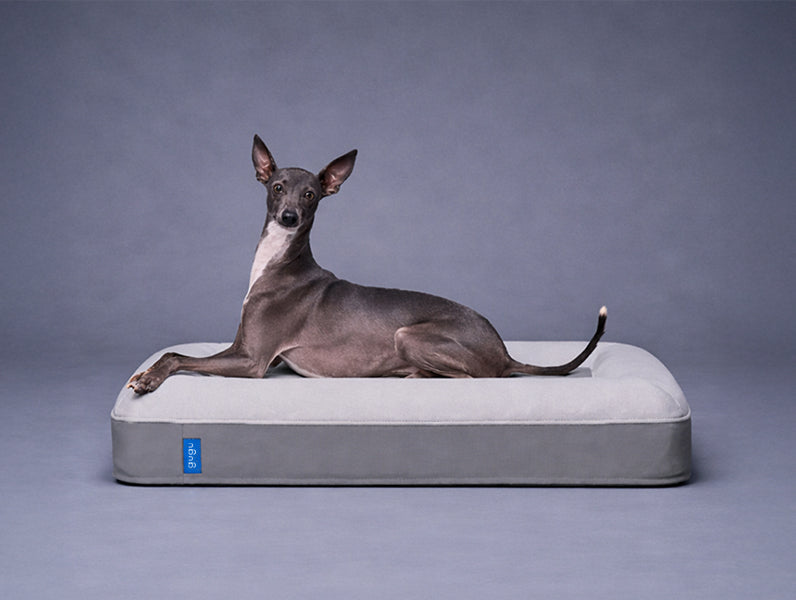 guguドギー 犬用ベッド