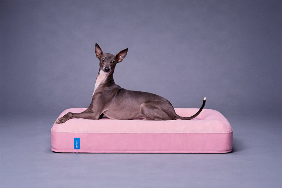 guguドギー 犬用ベッド