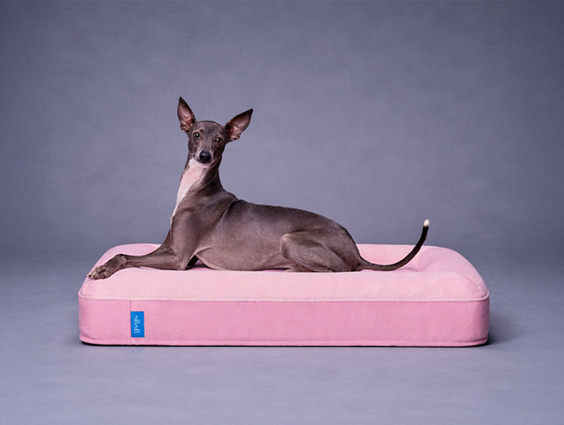 guguドギー 犬用ベッド