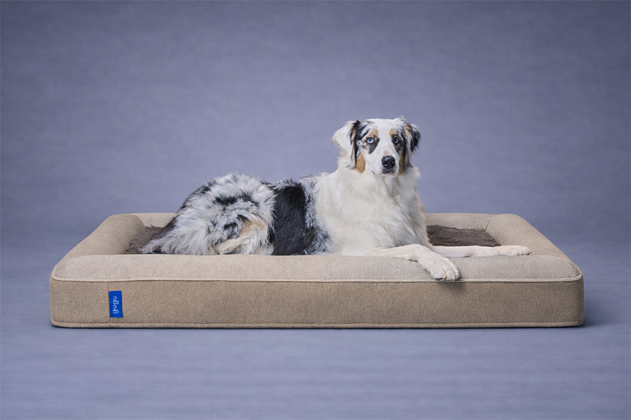 guguドギー 犬用ベッド