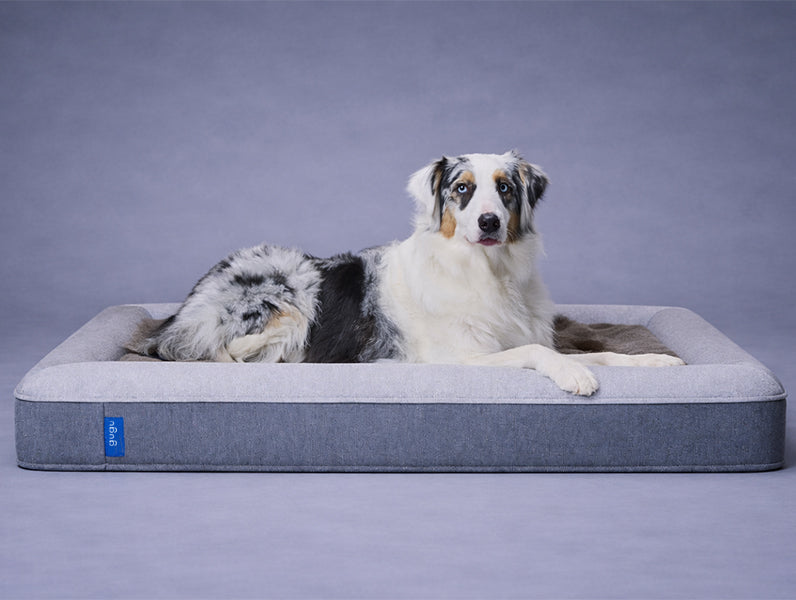 gugu ドギー 犬用ベッド　Sサイズ 小型犬　グレー グーグースリープ【公式】｜犬用ベッド｜超小型犬・小型犬・中型犬