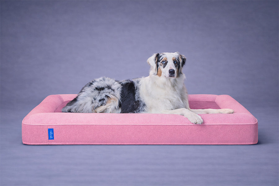 guguドギー 犬用ベッド