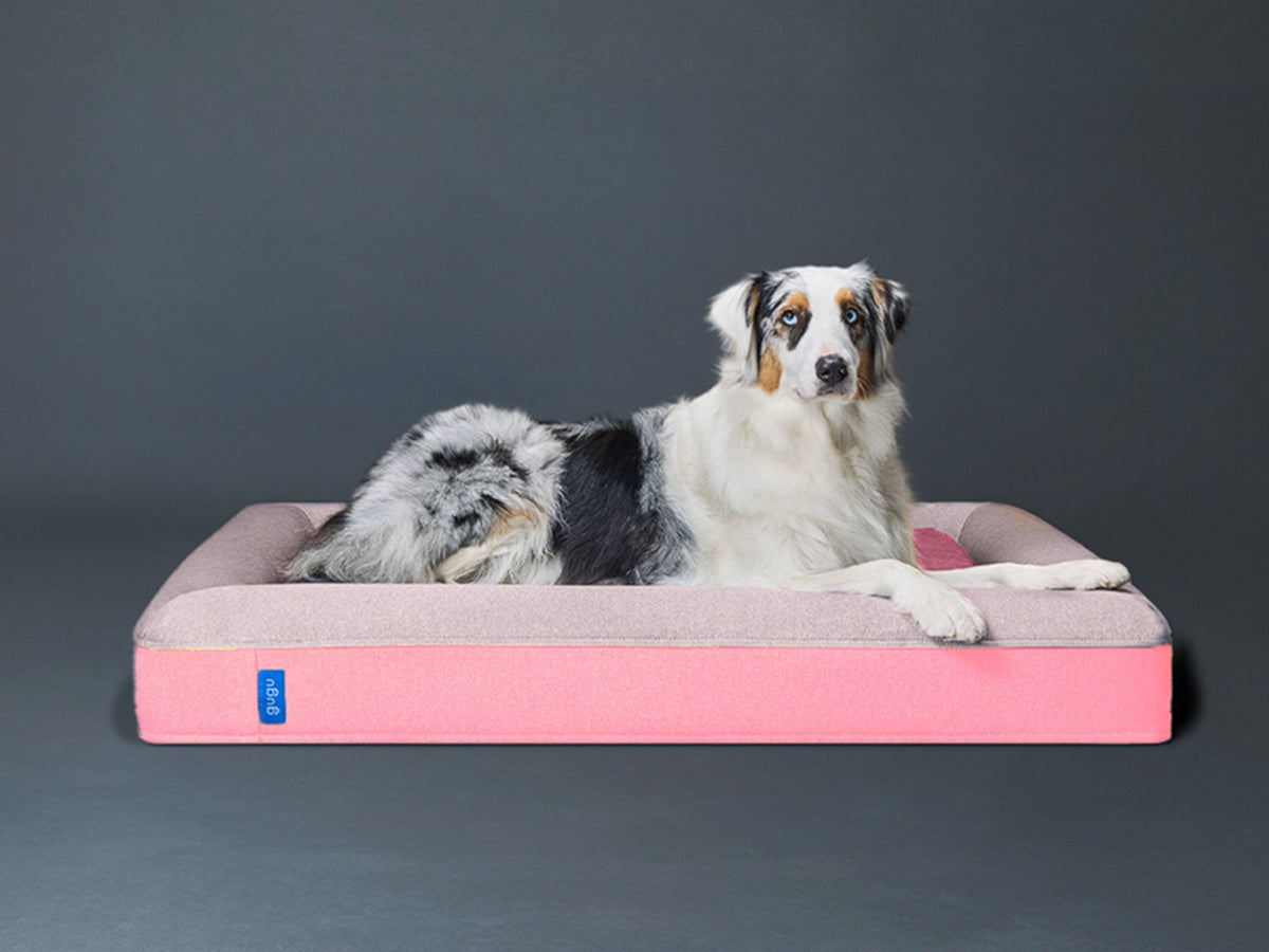 guguドギー 犬用ベッド