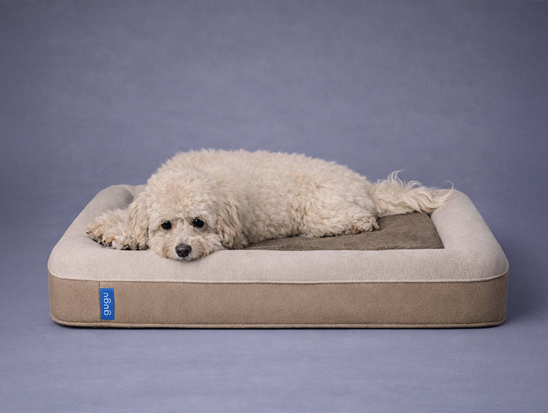 guguドギー 犬用ベッド