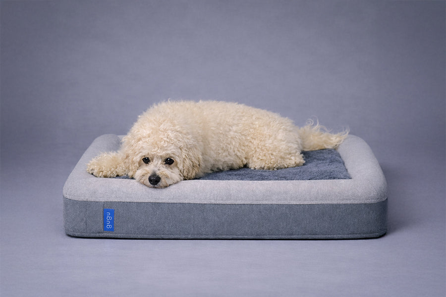 guguドギー 犬用ベッド