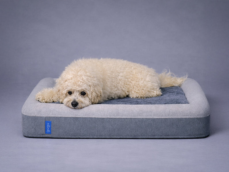 guguドギー 犬用ベッド