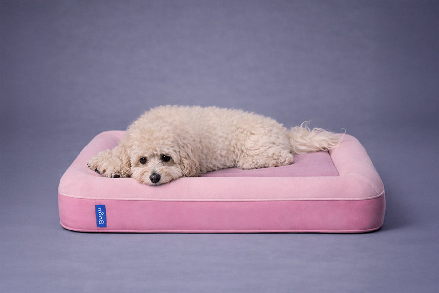 guguドギー 犬用ベッド