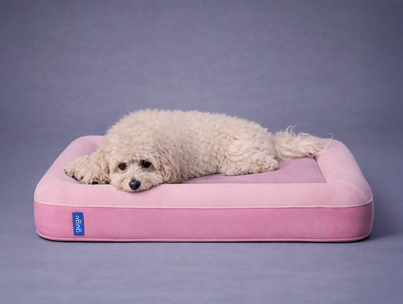 guguドギー 犬用ベッド