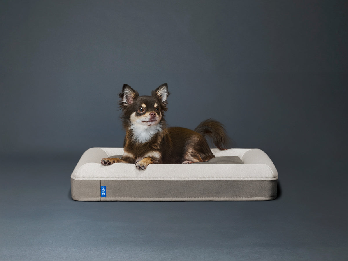 guguドギー 犬用ベッド