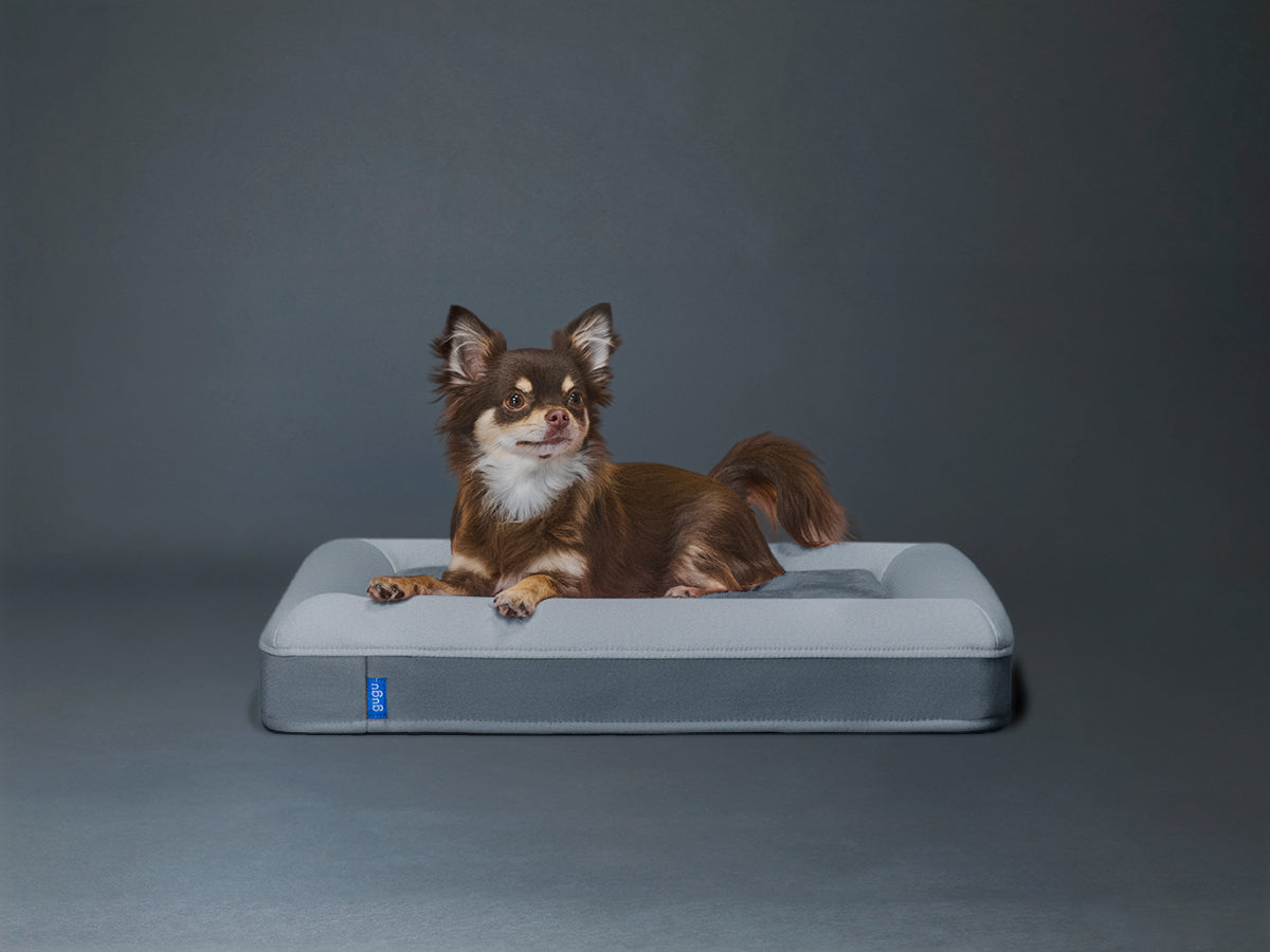 guguドギー 犬用ベッド