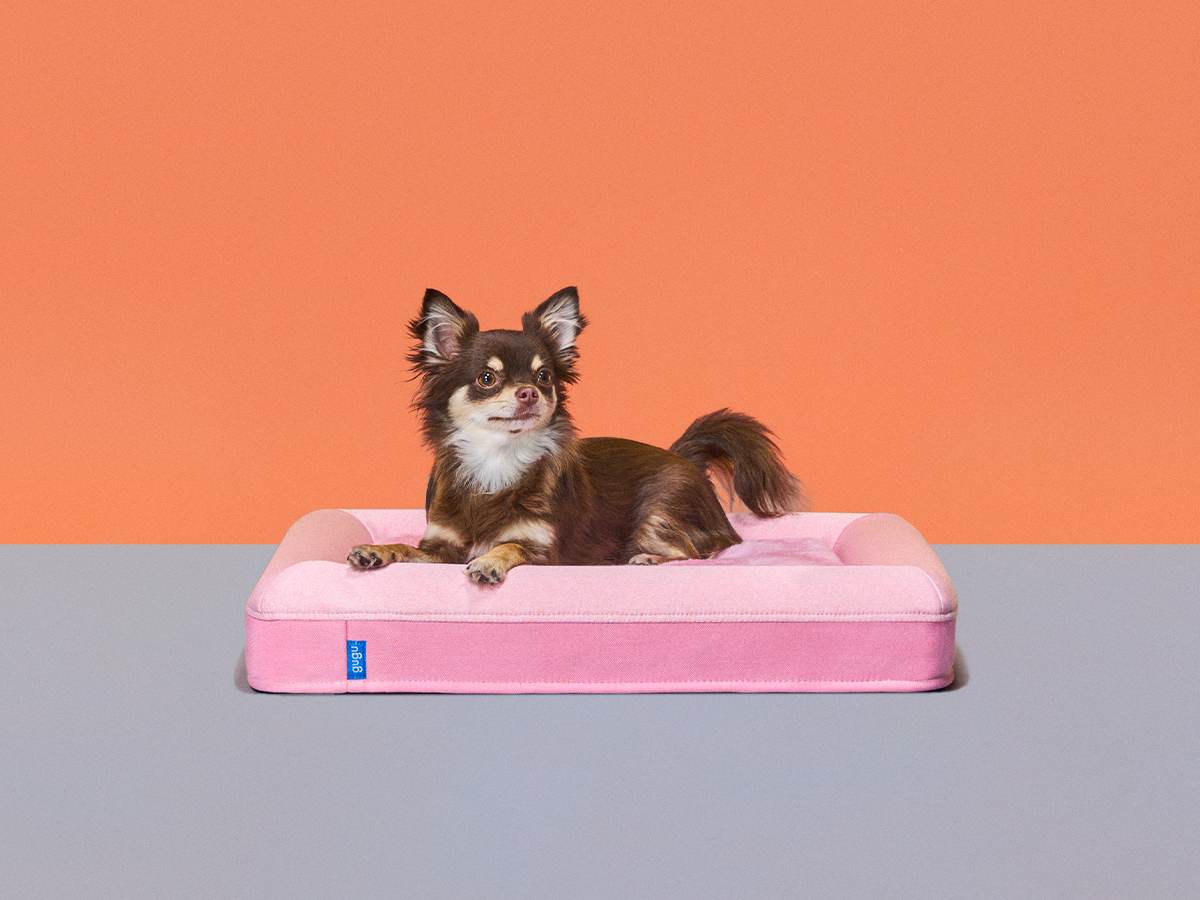 グーグースリープ【公式】｜犬用ベッド｜超小型犬・小型犬・中型犬 