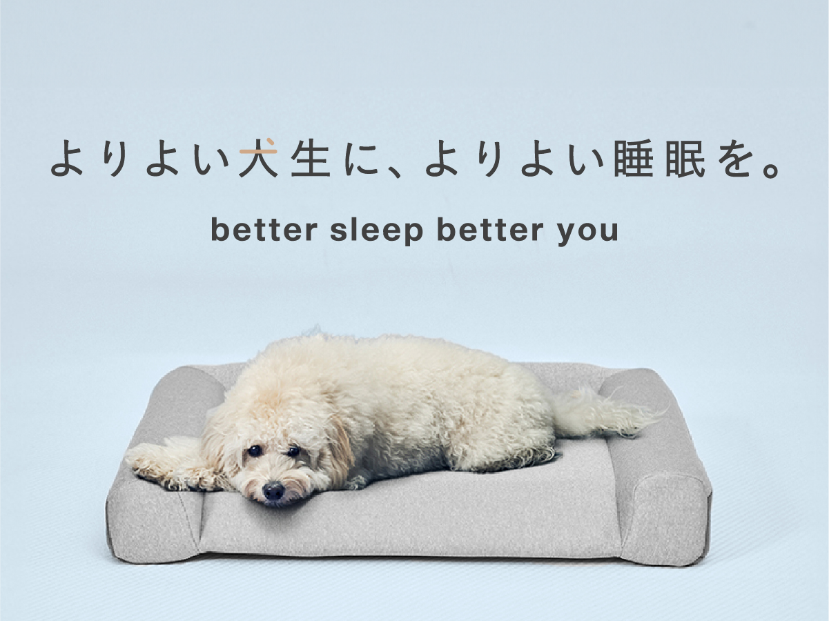 guguドギー シニア