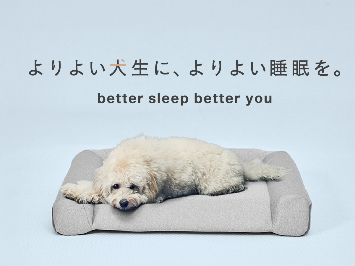 guguドギー シニア