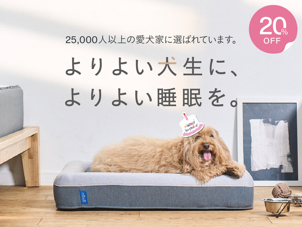 gugu ドギー
