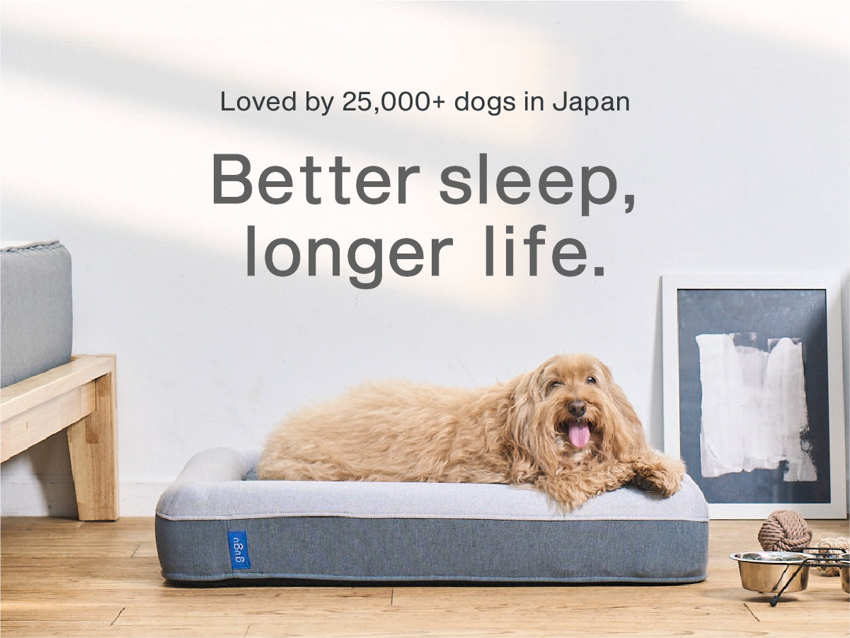 グーグースリープ【公式】｜犬用ベッド｜超小型犬・小型犬・中型犬