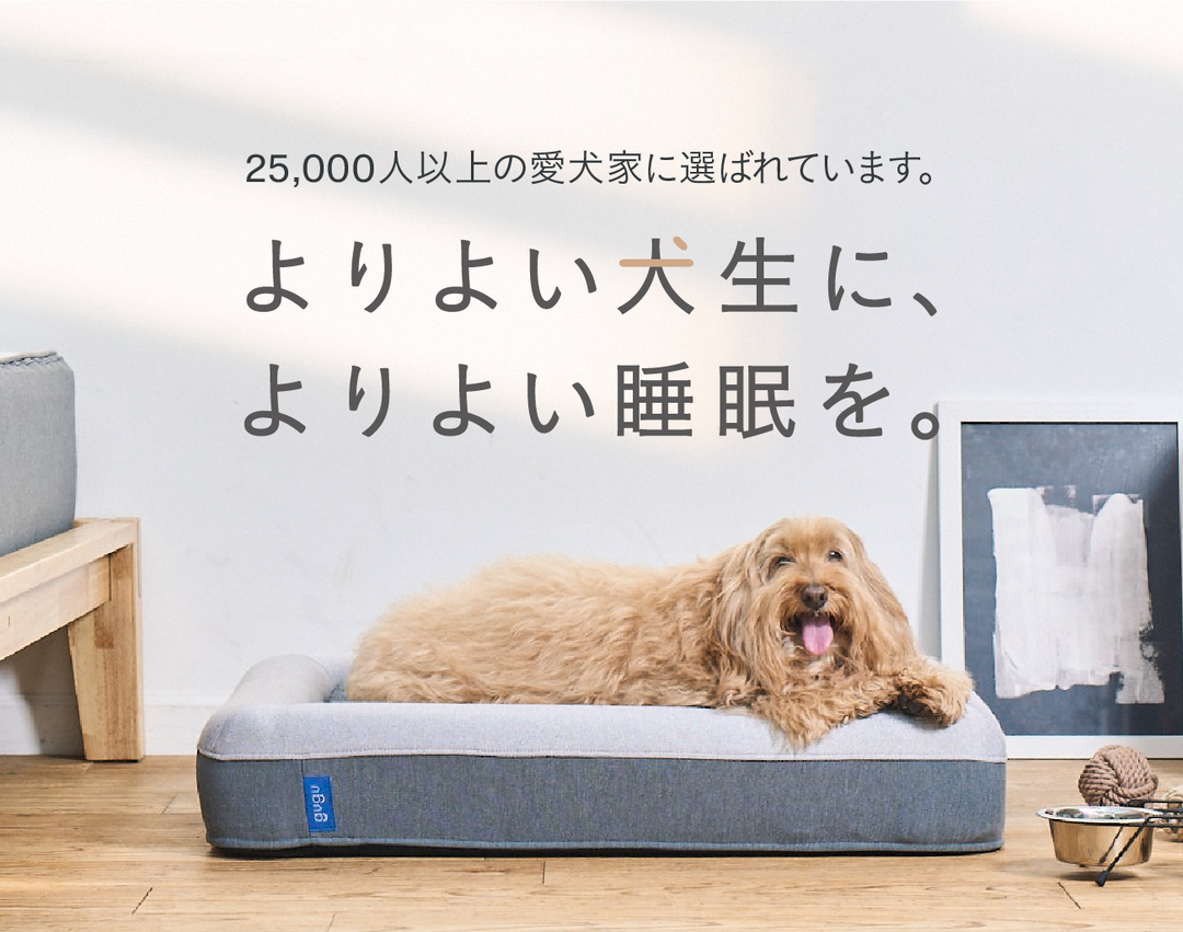 グーグースリープ【公式】|犬用ベッド|超小型犬・小型犬・中型犬 グーグースリープ【公式】|犬用ベッド|超小型犬・小型犬・中型犬