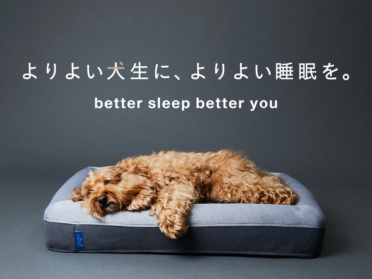 doggie_top_ecfaddee-a604-4f12-