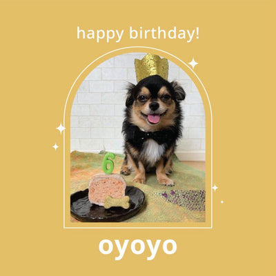 happy birthday oyoyo