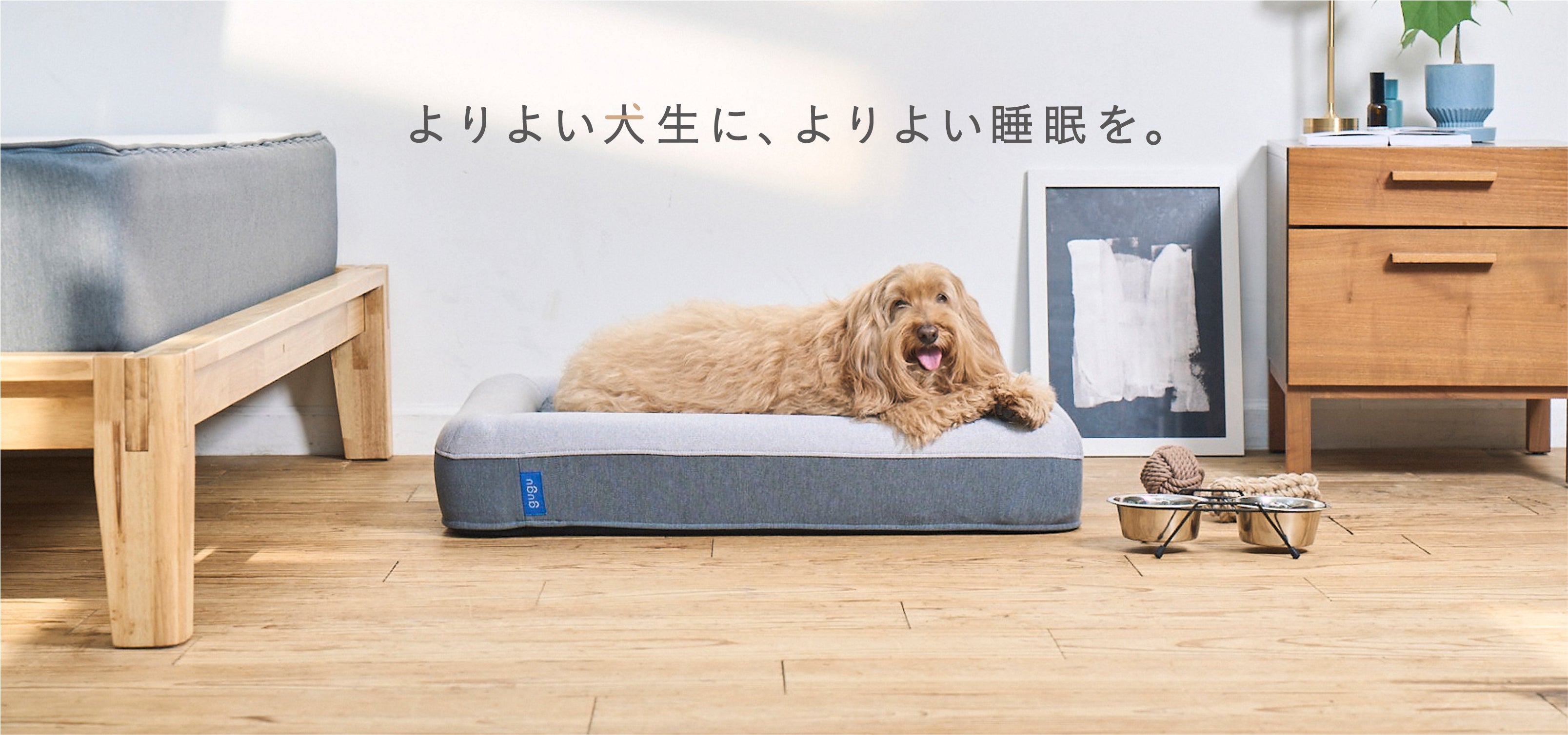 グーグースリープ｜プレミアムな眠りを、お求めやすい価格で。