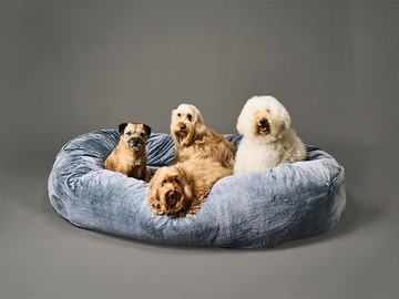 guguドギー 犬用ベッド M グーグースリープ【公式】|guguハギー guguドギー 犬用ベッド M グーグースリープ【公式】|guguハギー