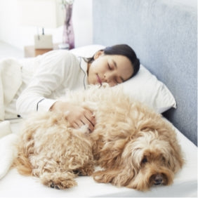 guguマットレスで犬と一緒に気持ちよさそうに眠る女性