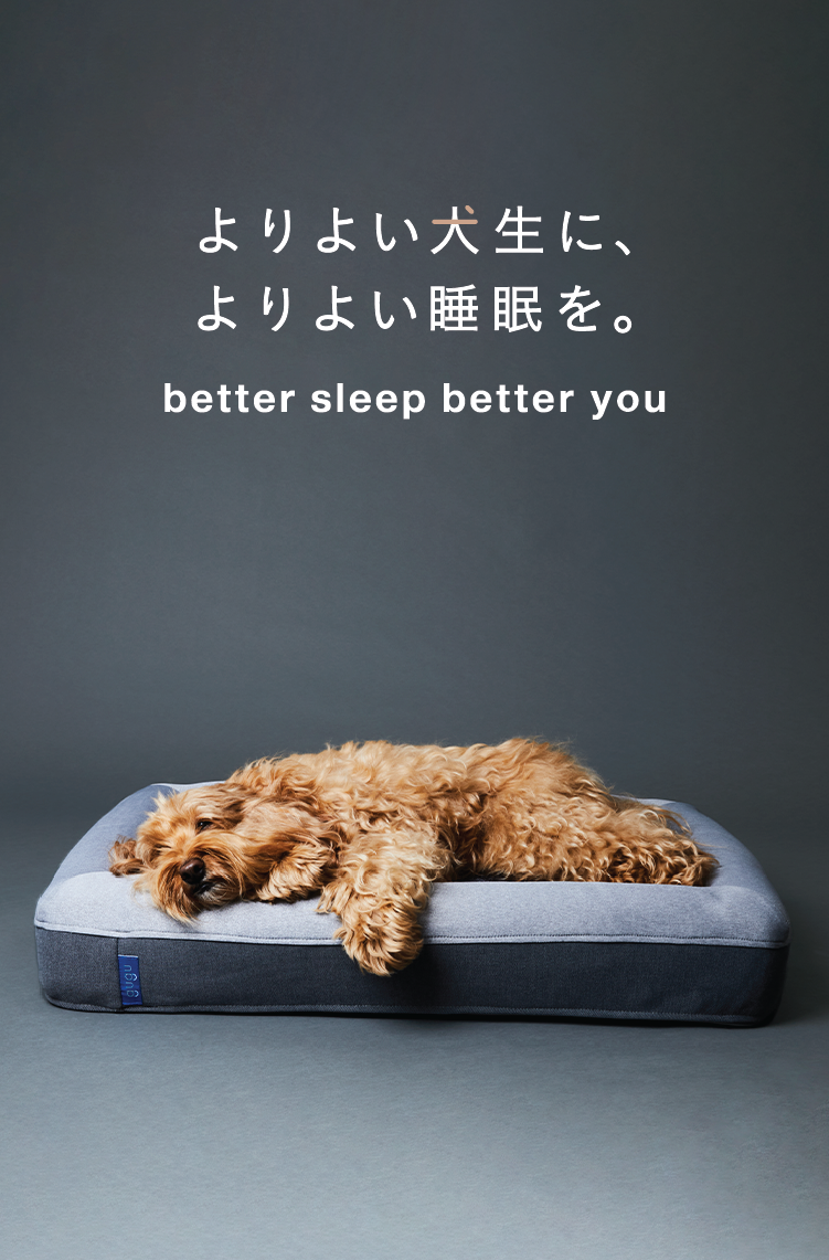 よりよい犬生に、よりよい睡眠を。