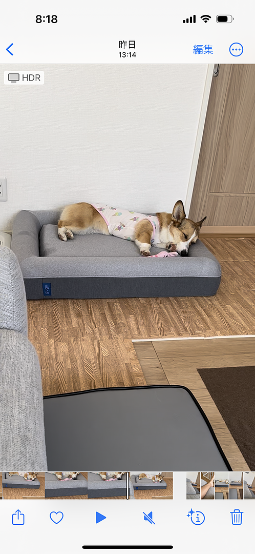 review-corgi-612458697.png