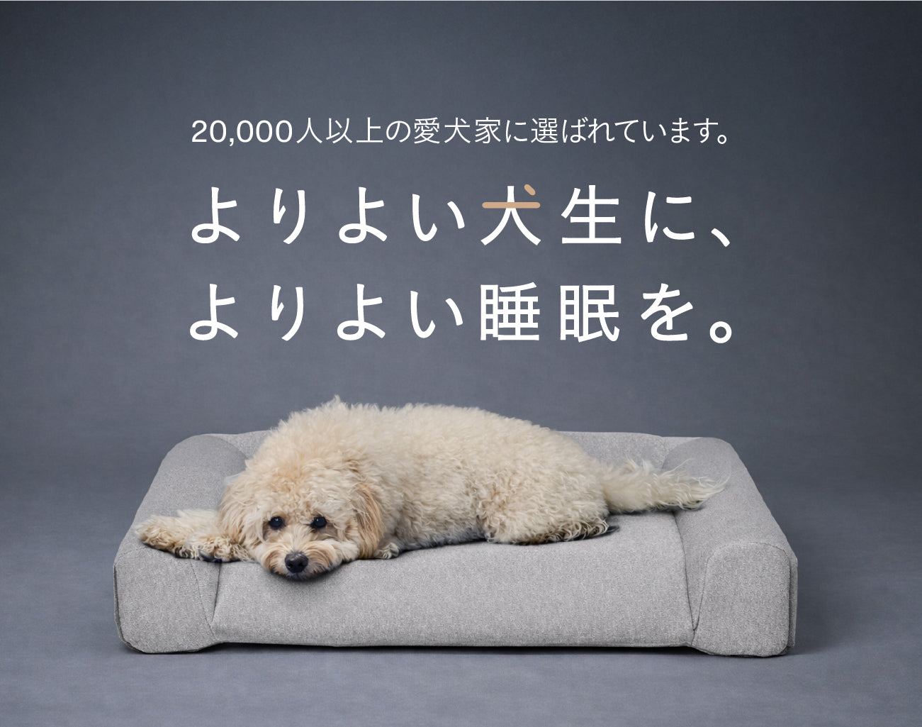 グーグースリープ【公式】｜guguドギー シニア