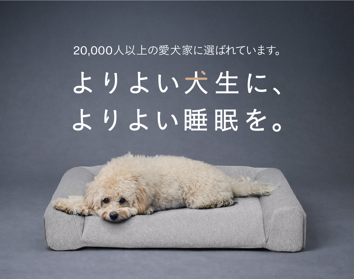 グーグースリープ【公式】｜guguドギー シニア