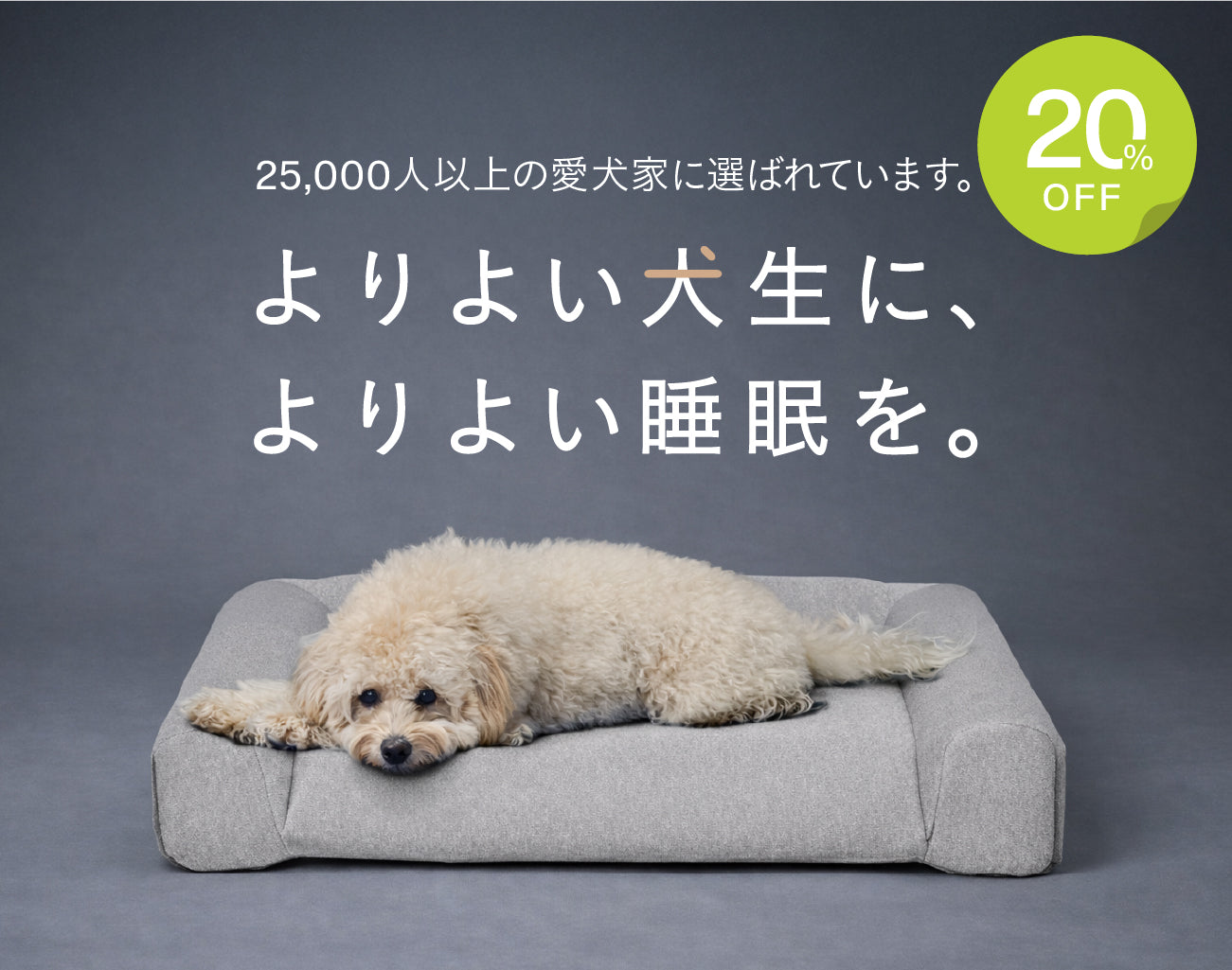 guguドギー シニア