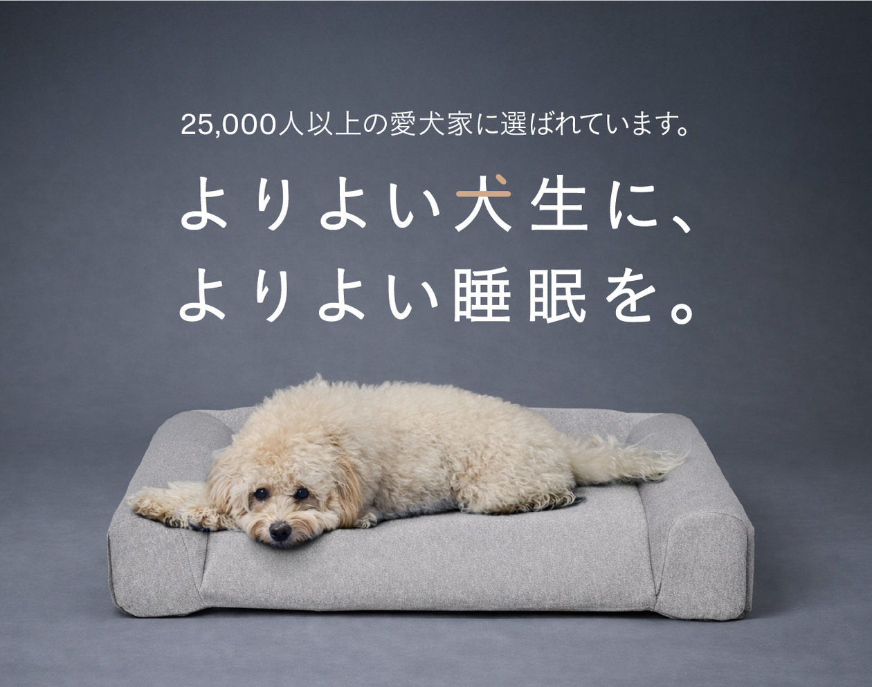 グーグースリープ【公式】｜guguドギー シニア