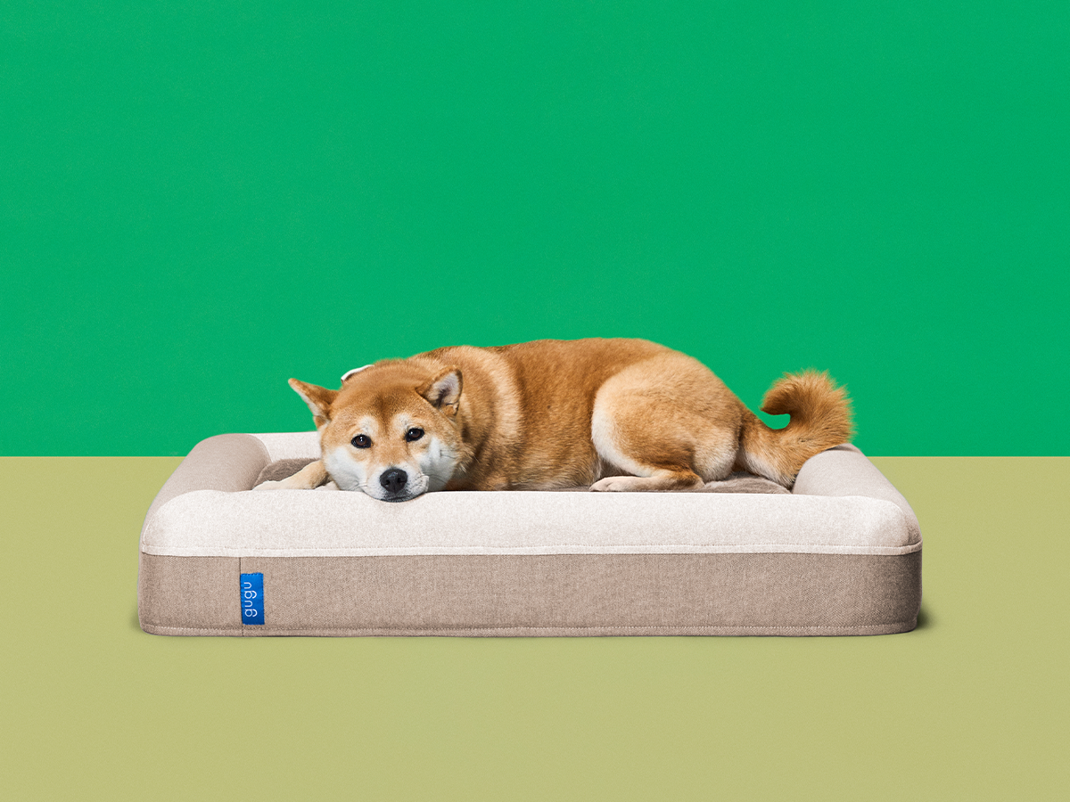 guguドギー 犬用ベッド