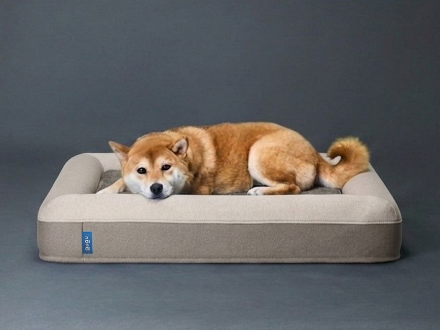 gugu ドギー