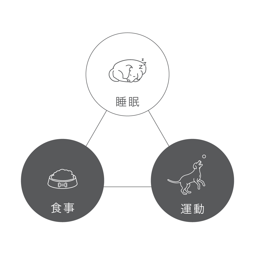 睡眠と食事と運動のスリープトライアングル