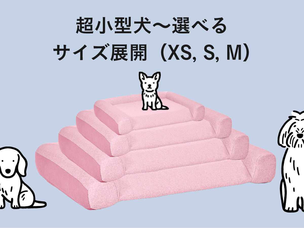 gugu シニア