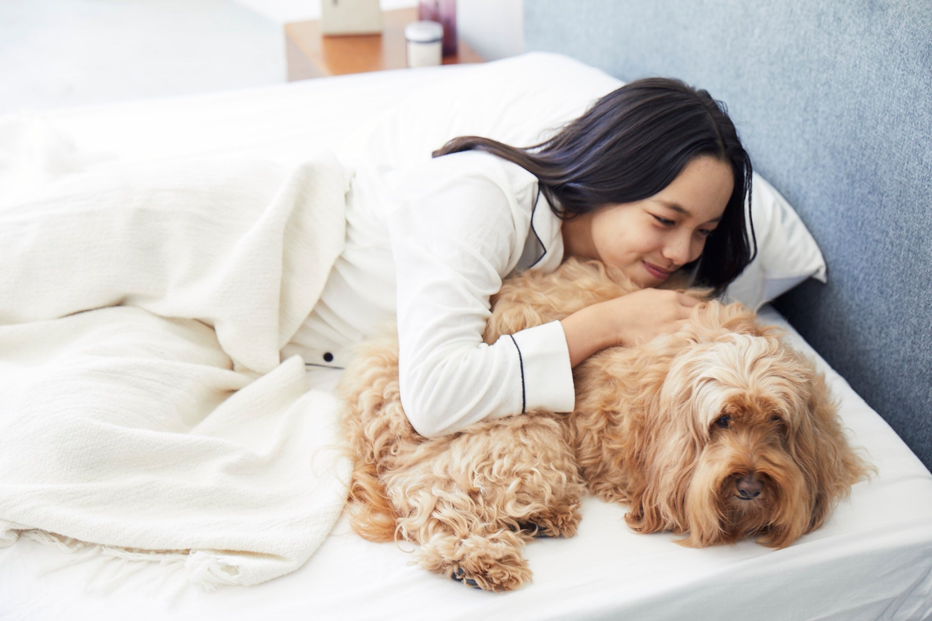 グーグースリープ【公式】｜犬用ベッド｜超小型犬・小型犬・中型犬