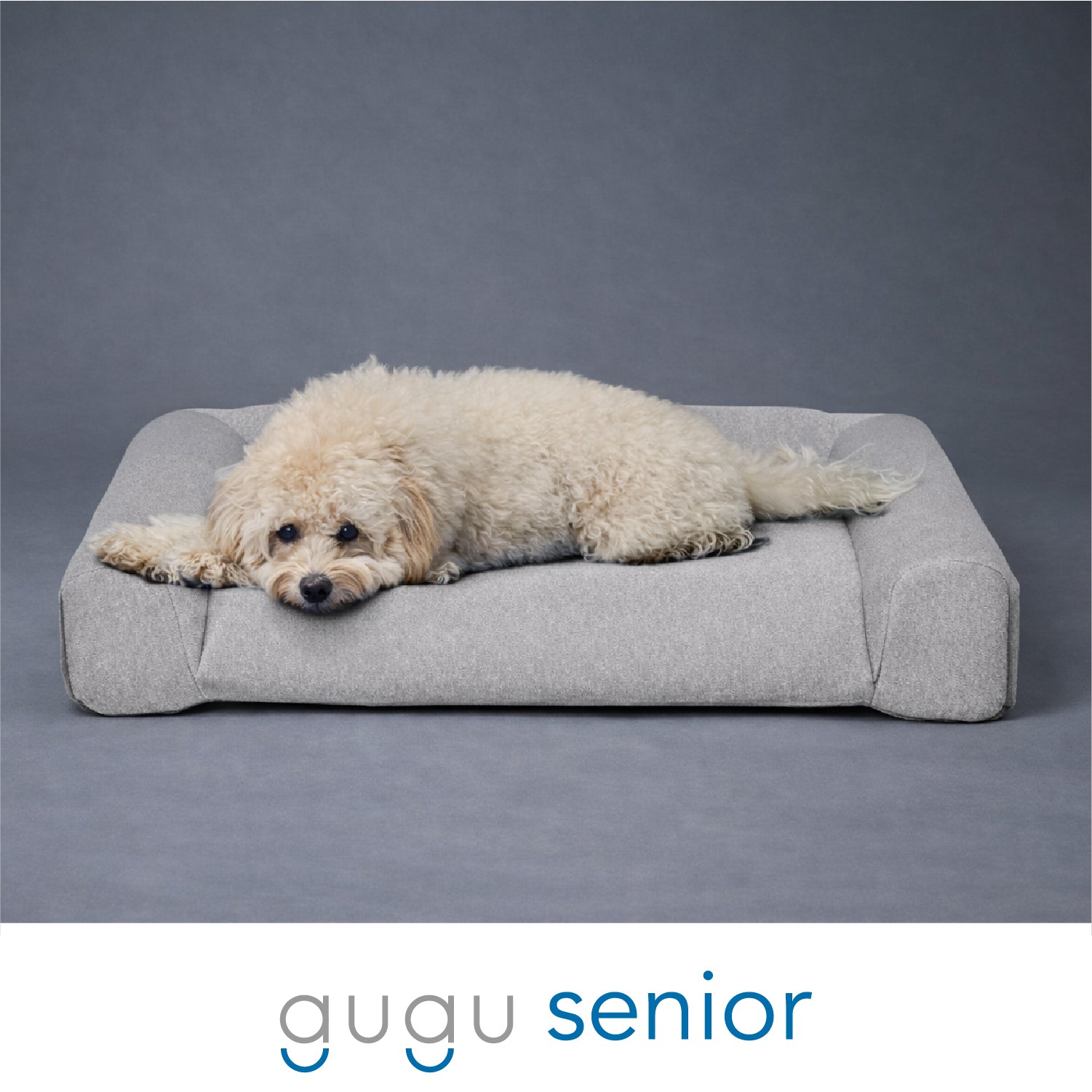 グーグースリープ【公式】｜guguドギー シニア