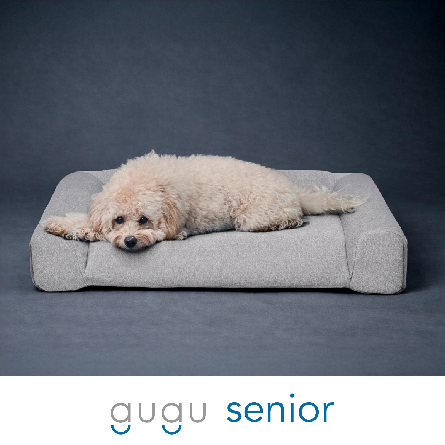 gugu ドギー 犬用ベッド Sサイズ 小型犬 グレー 【公式通販】